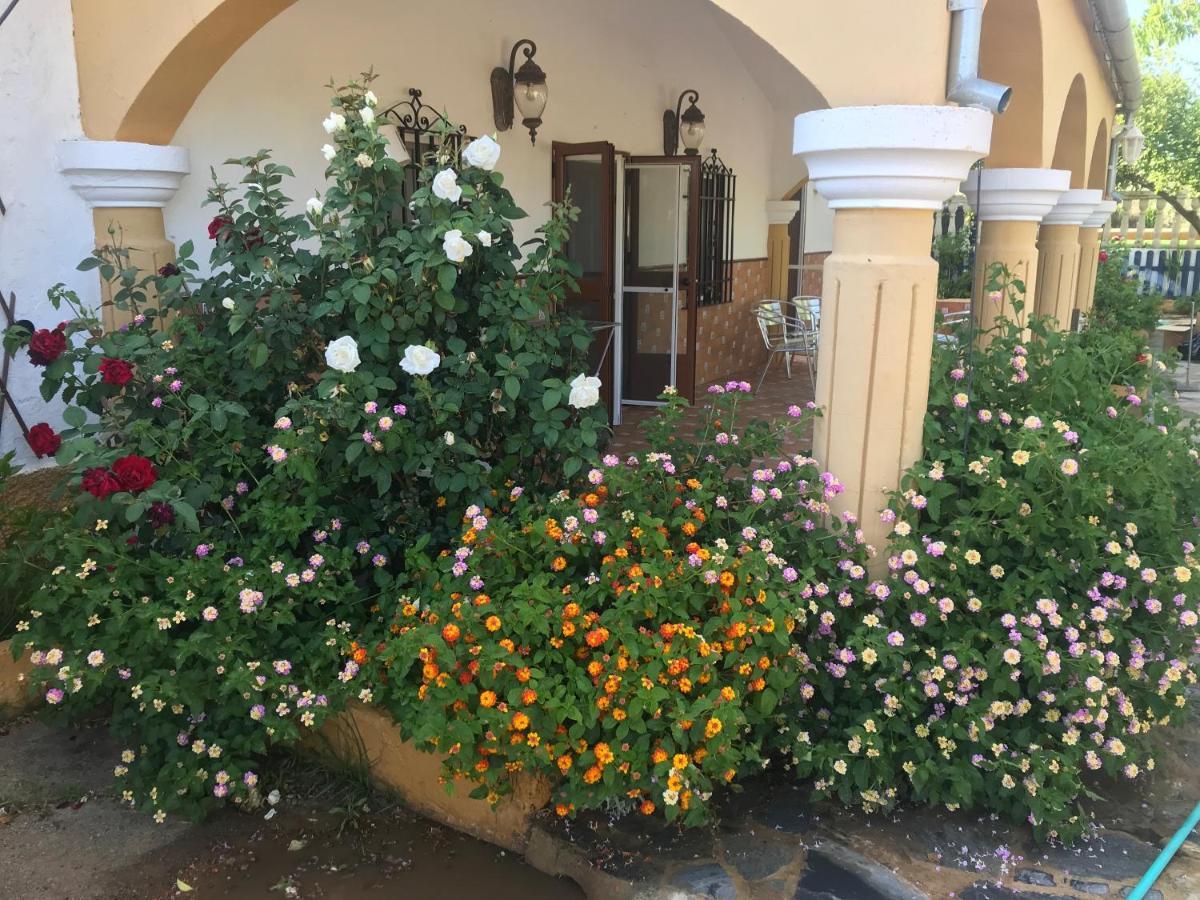 Finca La Rosalia Setenil De Las Bodegas Extérieur photo